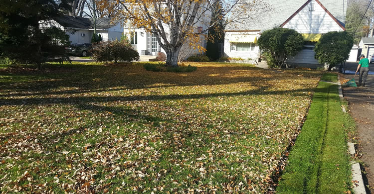 Fall Property Maintenance and Yard Clean Ups Winnipeg MB