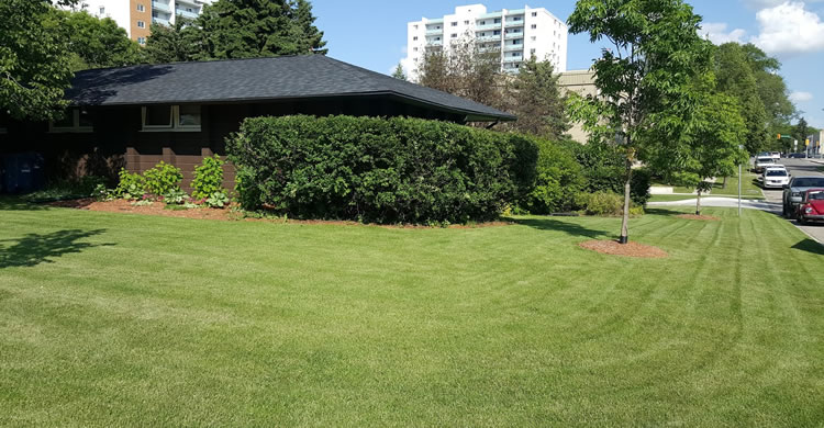 Lawn Aeration Services in Winnipeg Manitoba