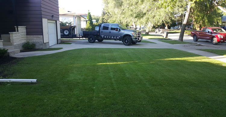 Lawn Fertilization Service Winnipeg Manitoba