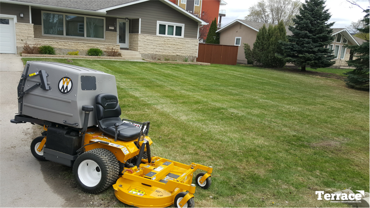 walker riding mower with freshly striped front lawn